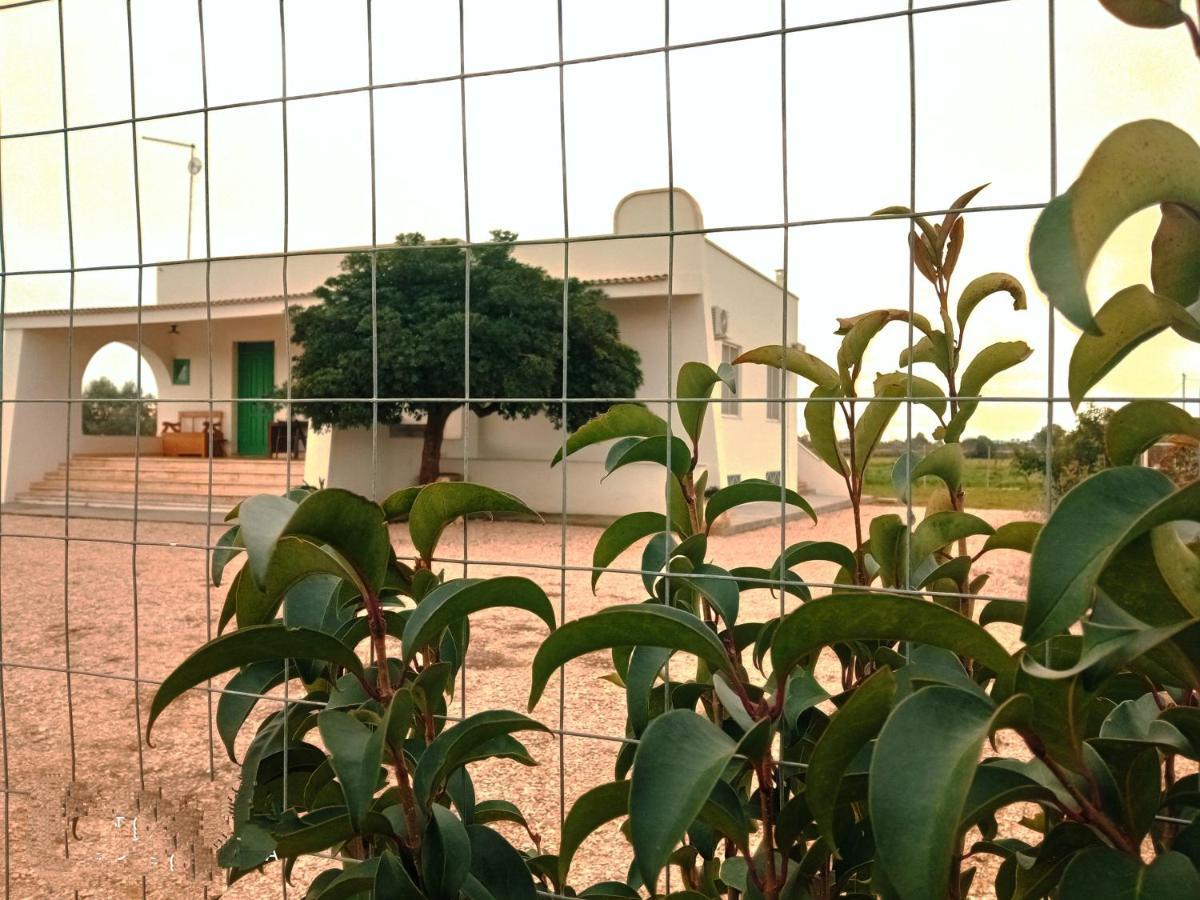 Abaton - Casa Vacanza Metaponto Ngoại thất bức ảnh