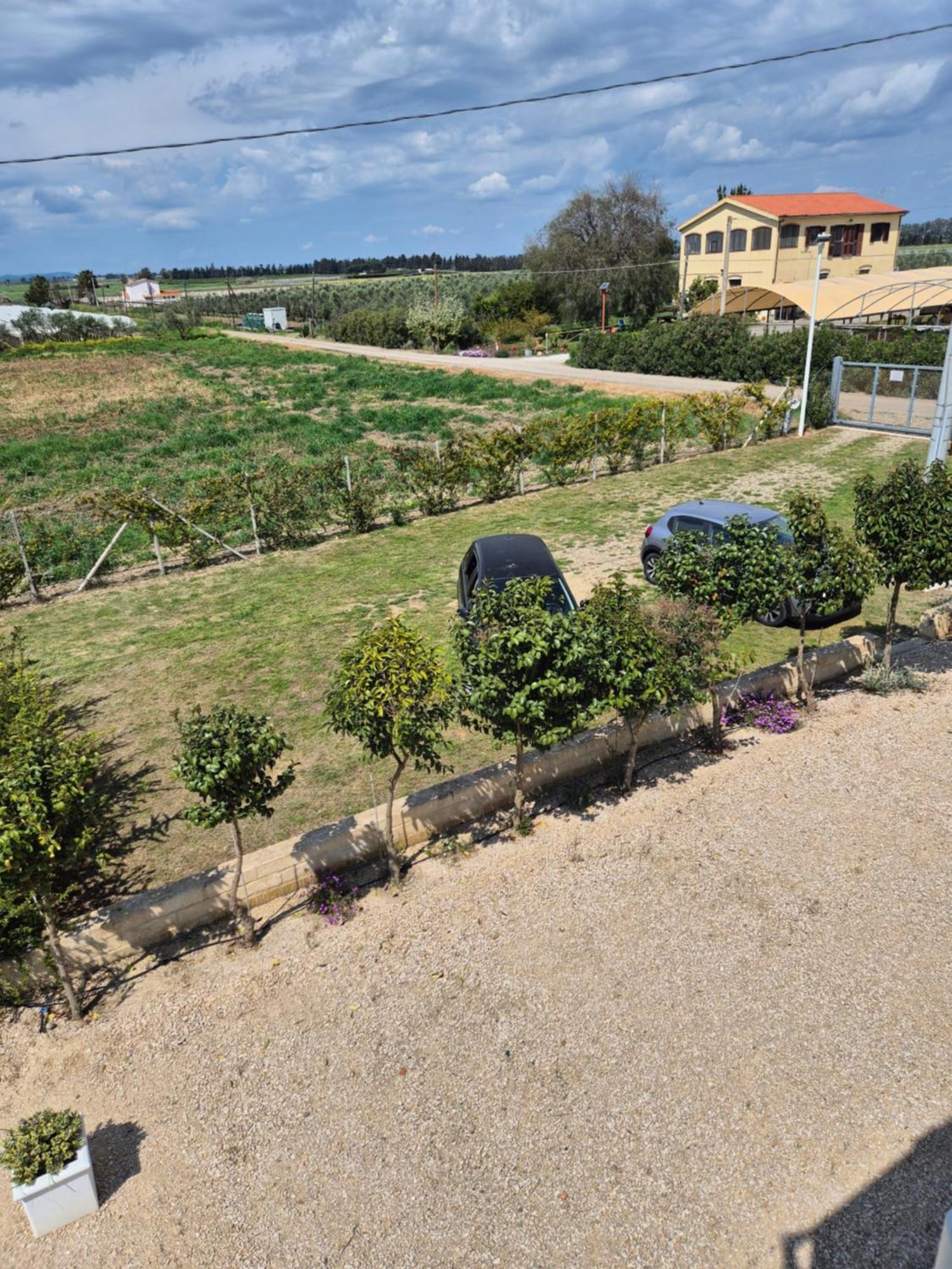 Abaton - Casa Vacanza Metaponto Ngoại thất bức ảnh